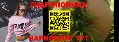 таблы Сланцы