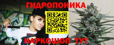 гидра Славянск-на-Кубани