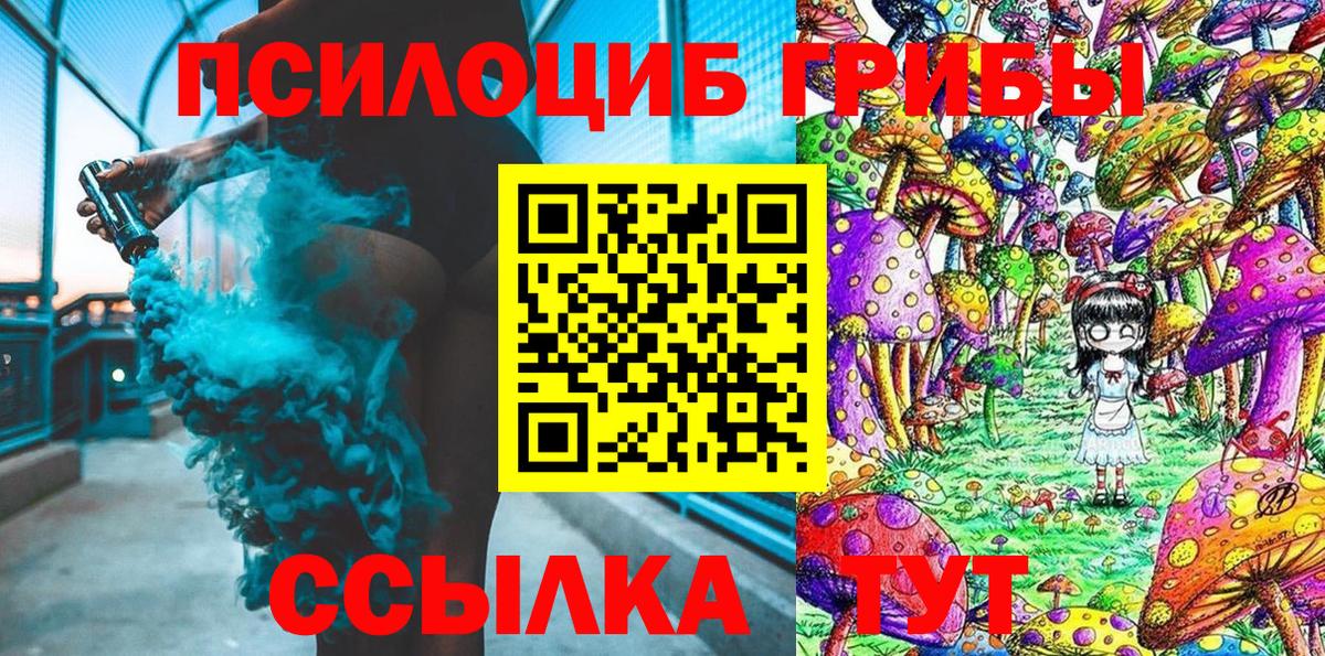 Псилоцибиновые грибы мицелий Ачинск