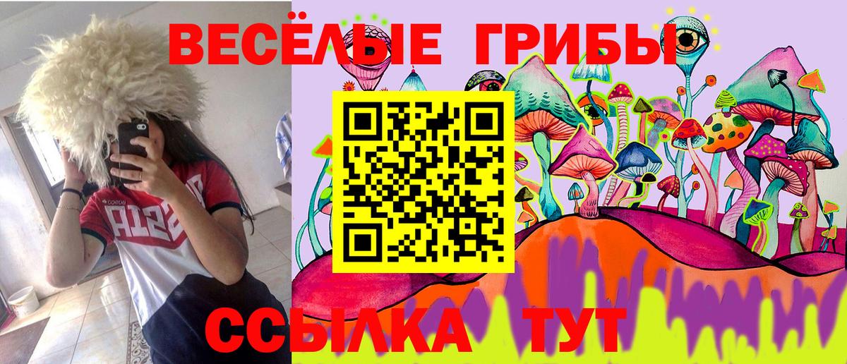 Ачинск  Псилоцибиновые грибы Cubensis  Вход с VPN  Псилоцибиновые грибы мицелий 